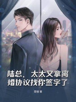 陆总离婚请签字免费阅读乔安好